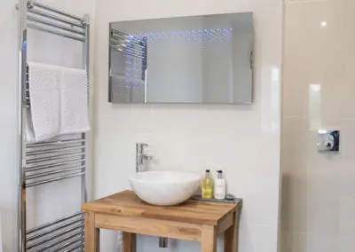 Apple Mill Master Bathroom