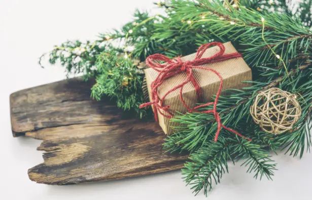 Christmas at a Holiday Cottage in Devon